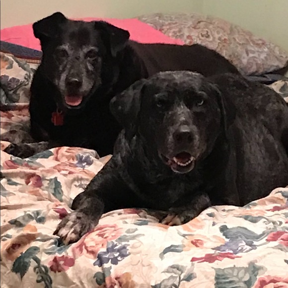 Meet your Posher, Loretta - Picture 1 of 1